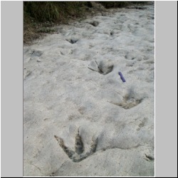 100_0459 (2009-26-07)m.JPG